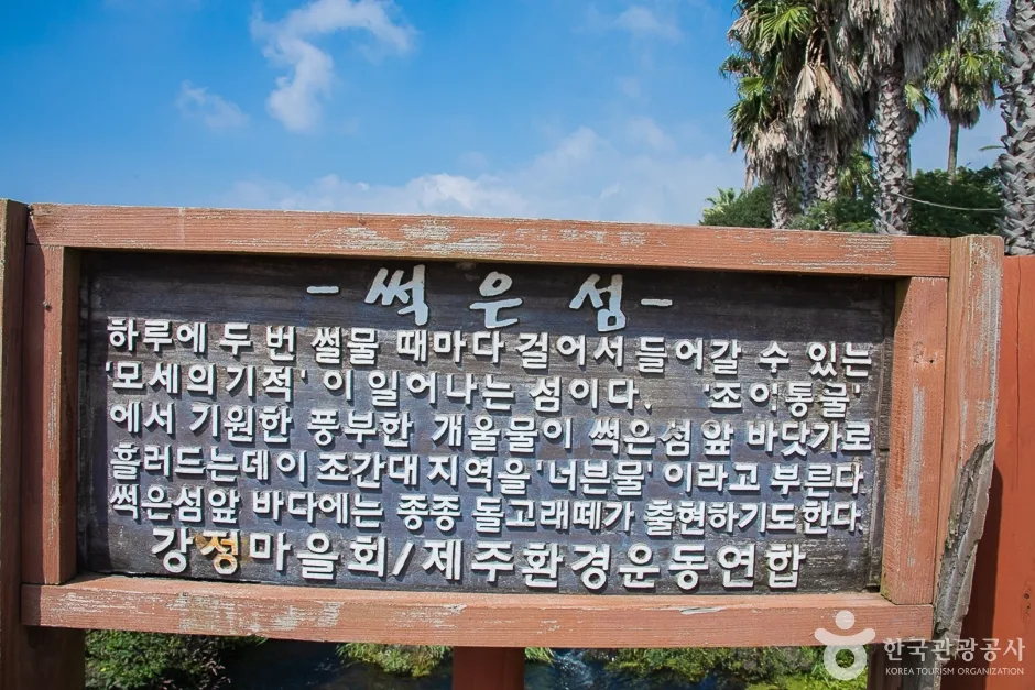 서건도(11)