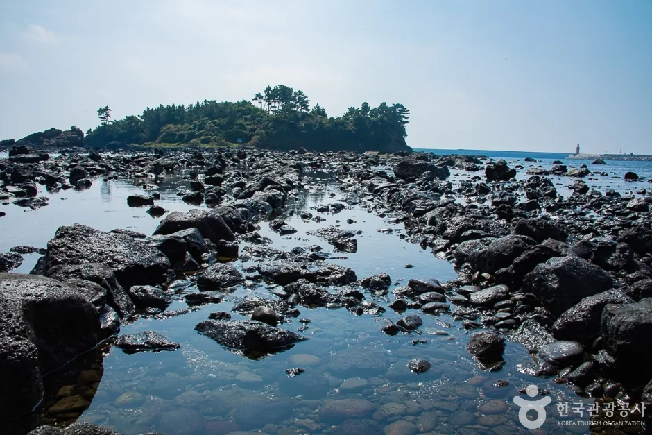 서건도(3)