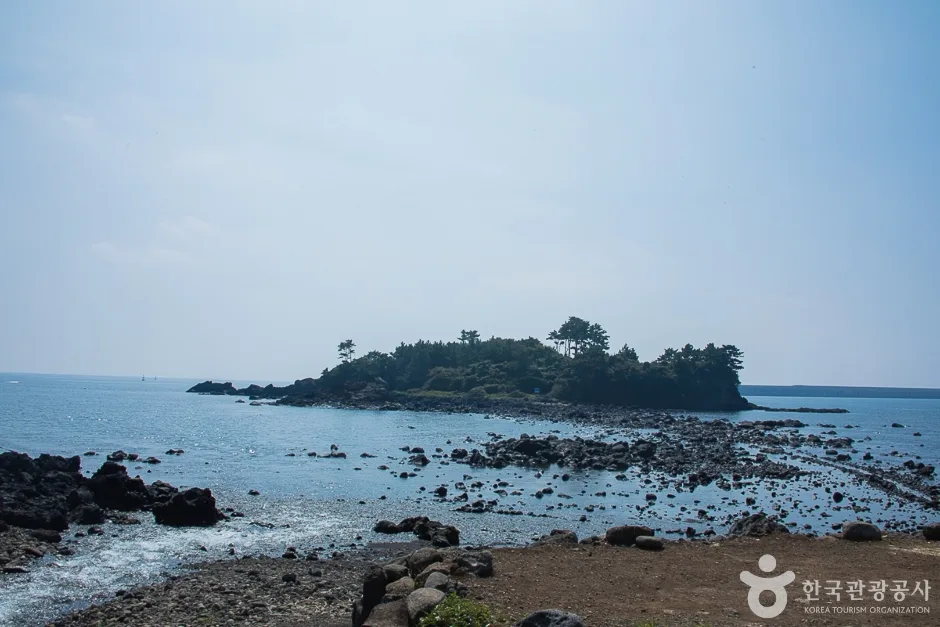 서건도(12)