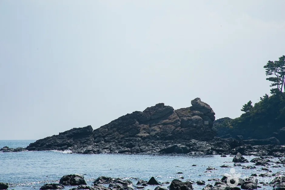 서건도(14)