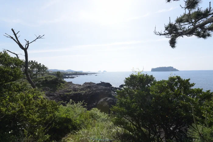 서건도(6)