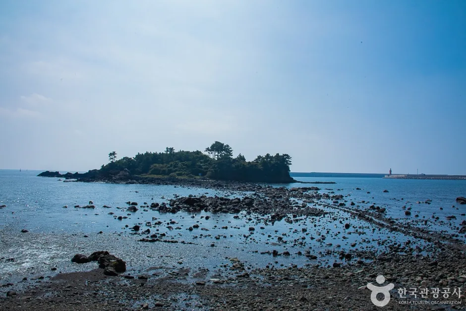 서건도(19)