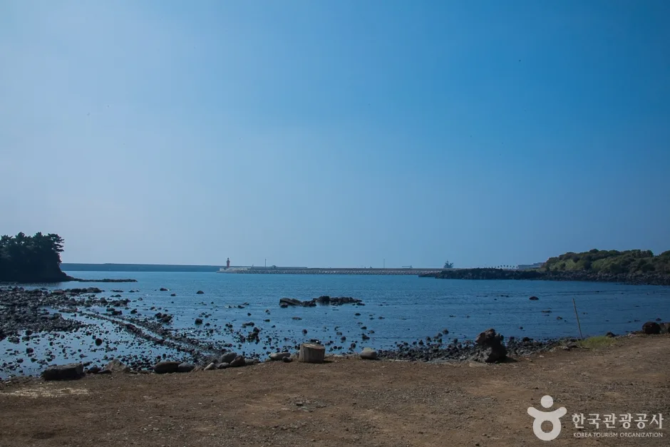 서건도(16)