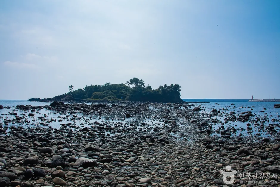 서건도(1)