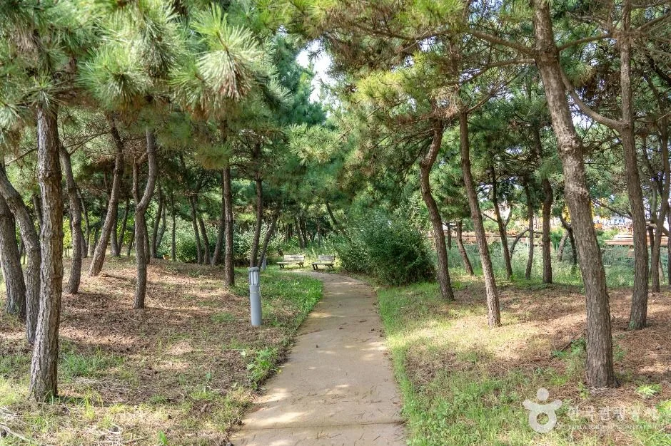 군산_새만금비응공원 (4)