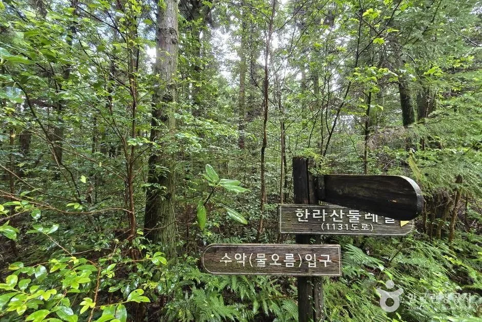 수악(물오름)_e (2)