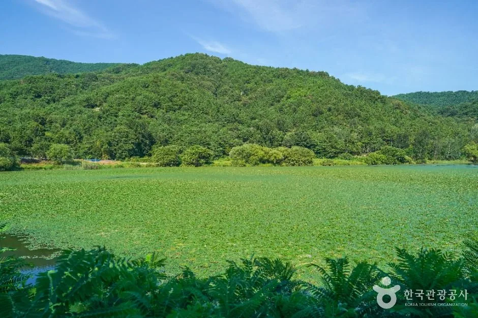 칠곡_유등지 (3)