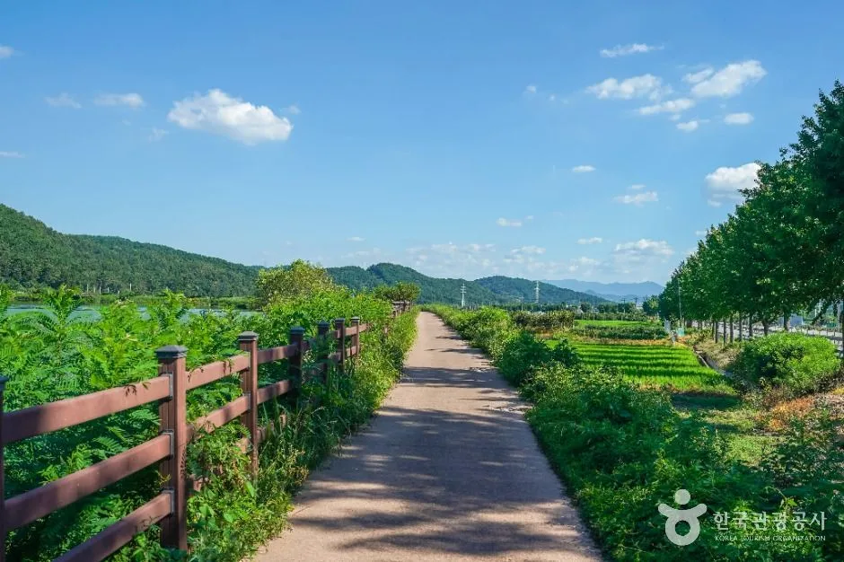 칠곡_유등지 (2)