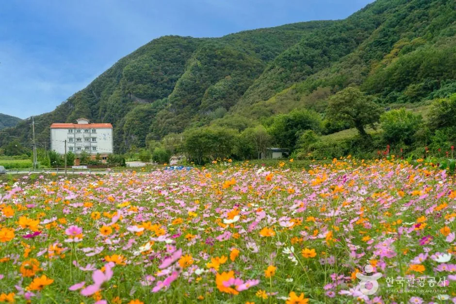 봉래산(영월)