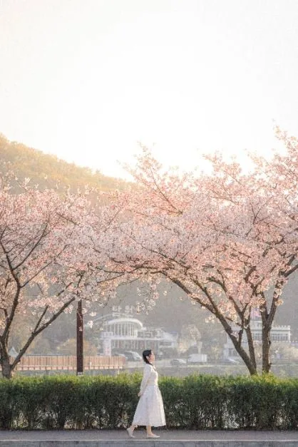 시흥_물왕호수 (4)