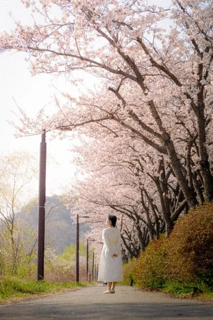 시흥_물왕호수 (3)