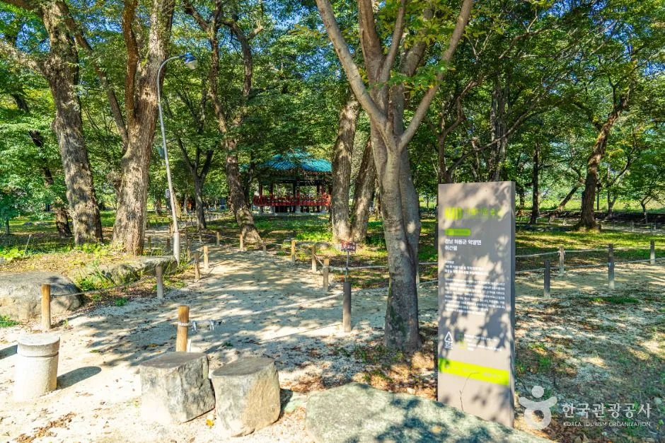 하동_악양 취간림 (2)