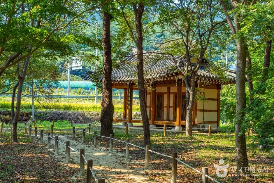 하동_악양 취간림 (5)