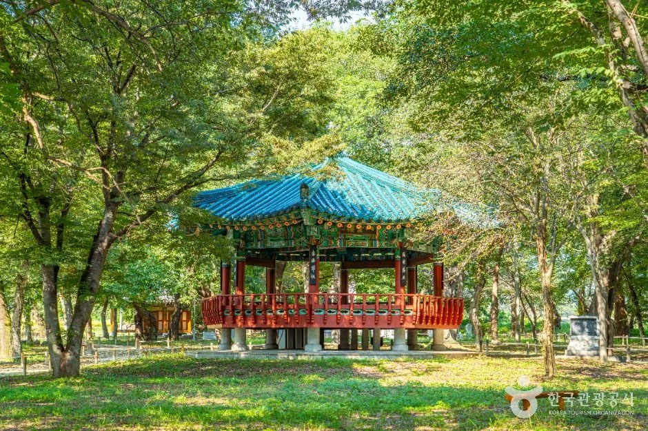 하동_악양 취간림 (4)