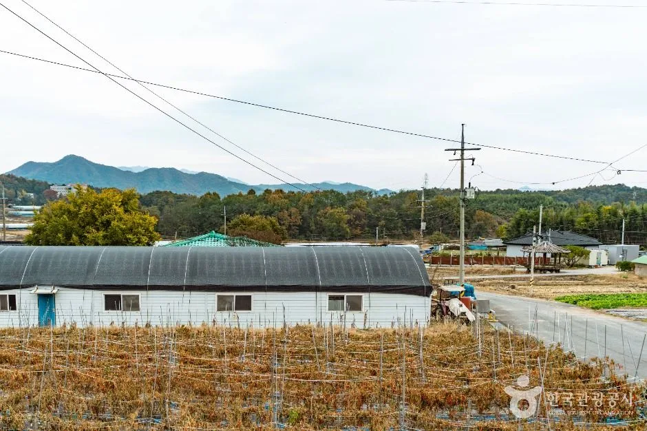 논산_논산 황산벌참살이마을 (5)