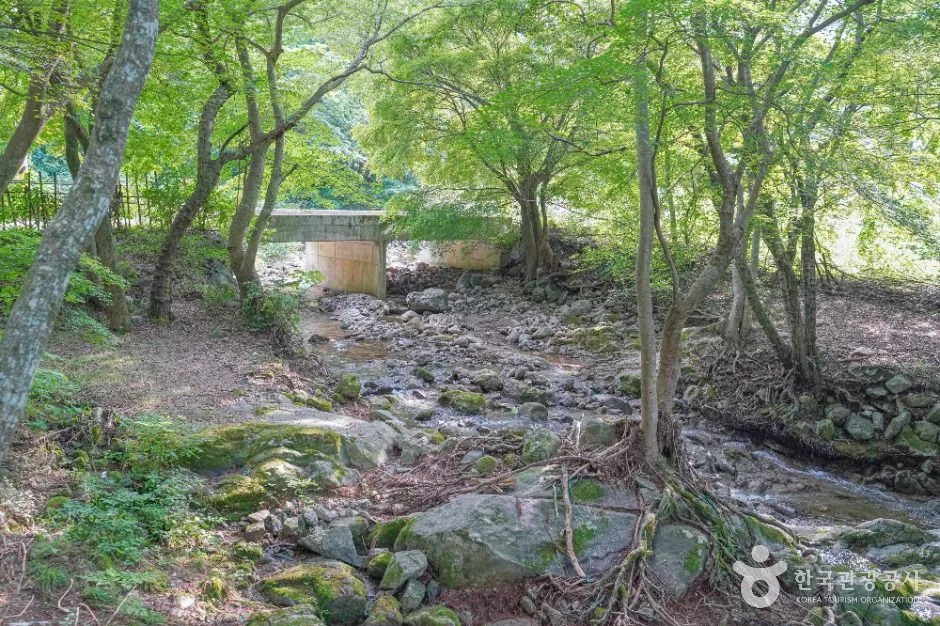 담양_용흥사계곡 (5)