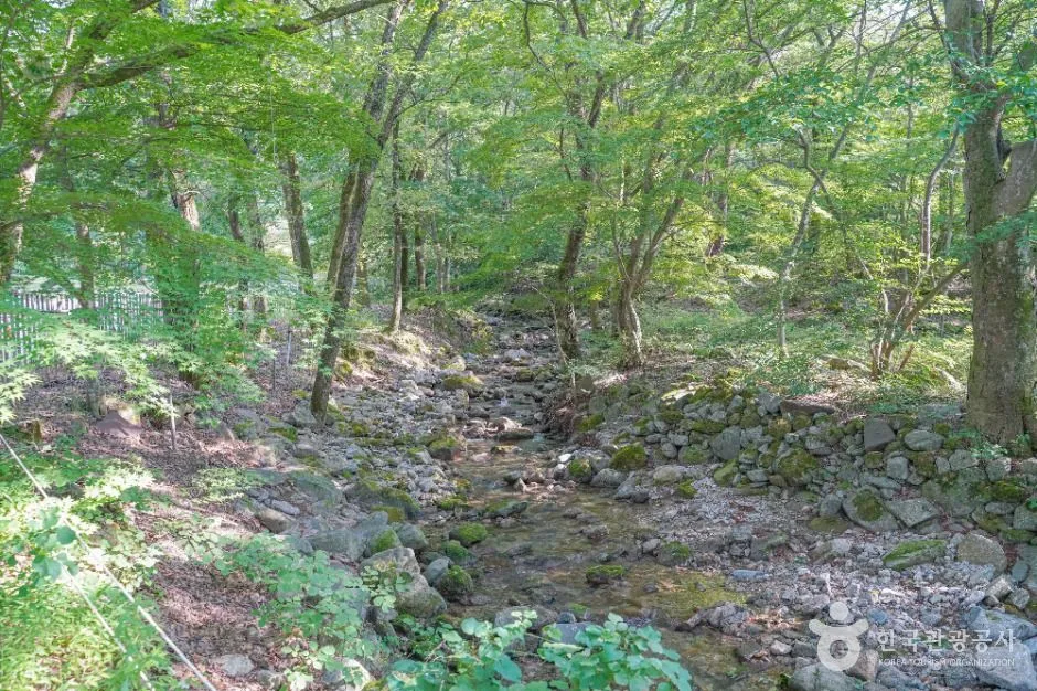 담양_용흥사계곡 (3)