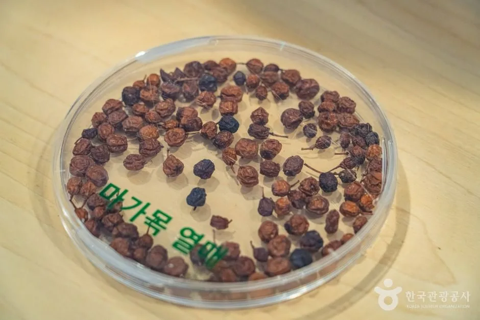 구례_농업기술센터 (8)