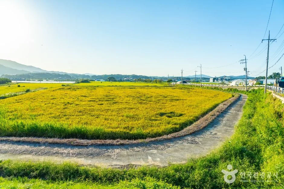 이천_이천 부래미마을 (5)