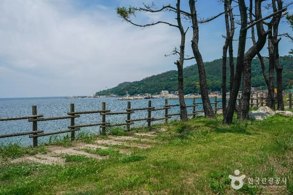 포항_흥환간이해수욕장 (3)