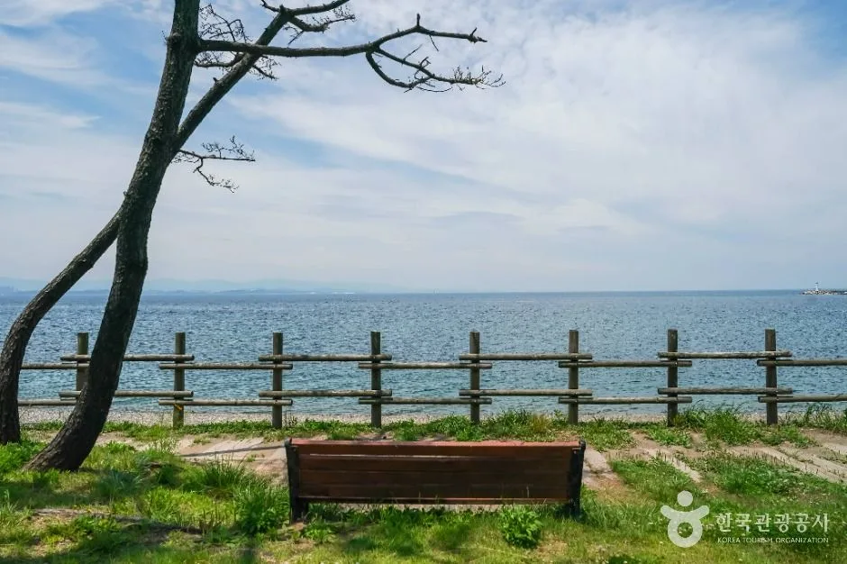 포항_흥환간이해수욕장 (2)