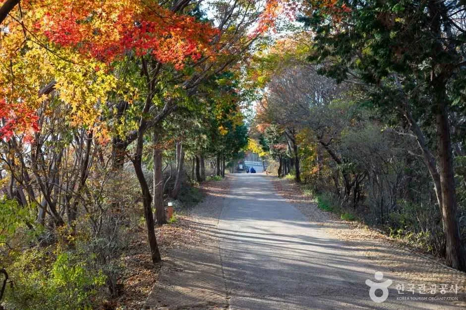 경상남도_남해_금산 보리암(남해)_외부_3.jpg
