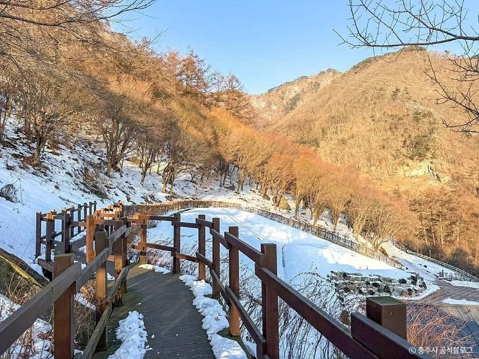 충주_계명산 자연휴양림 (6)