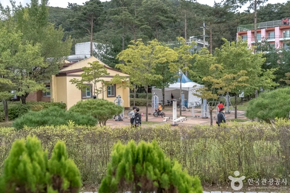 도시산림공원토리숲 (6)
