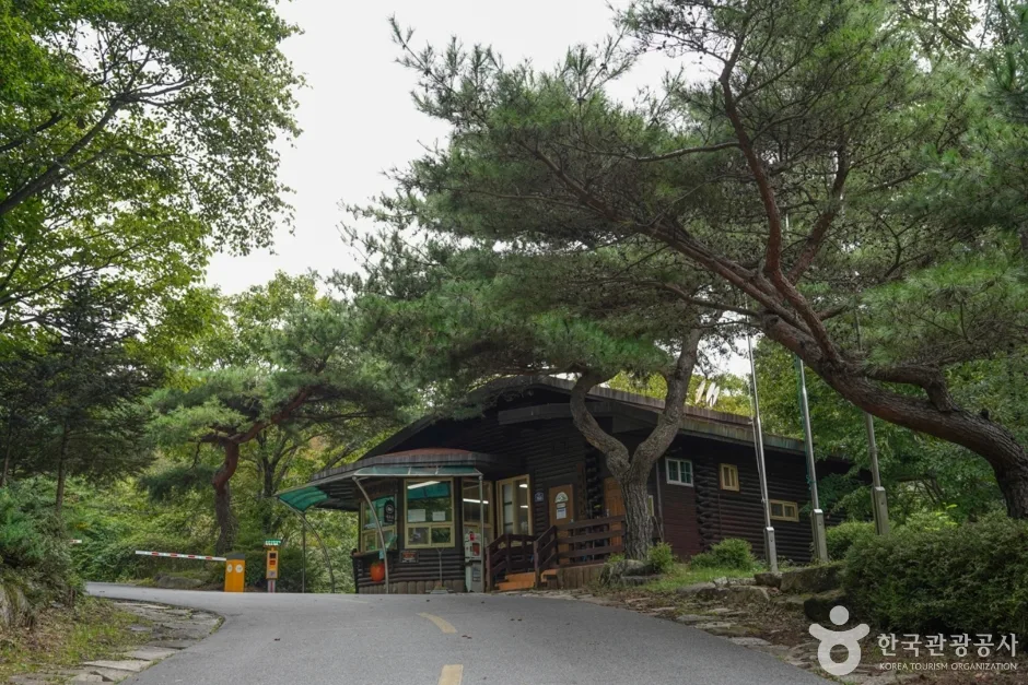 경북_청도_국립 운문산자연휴양림 (2)