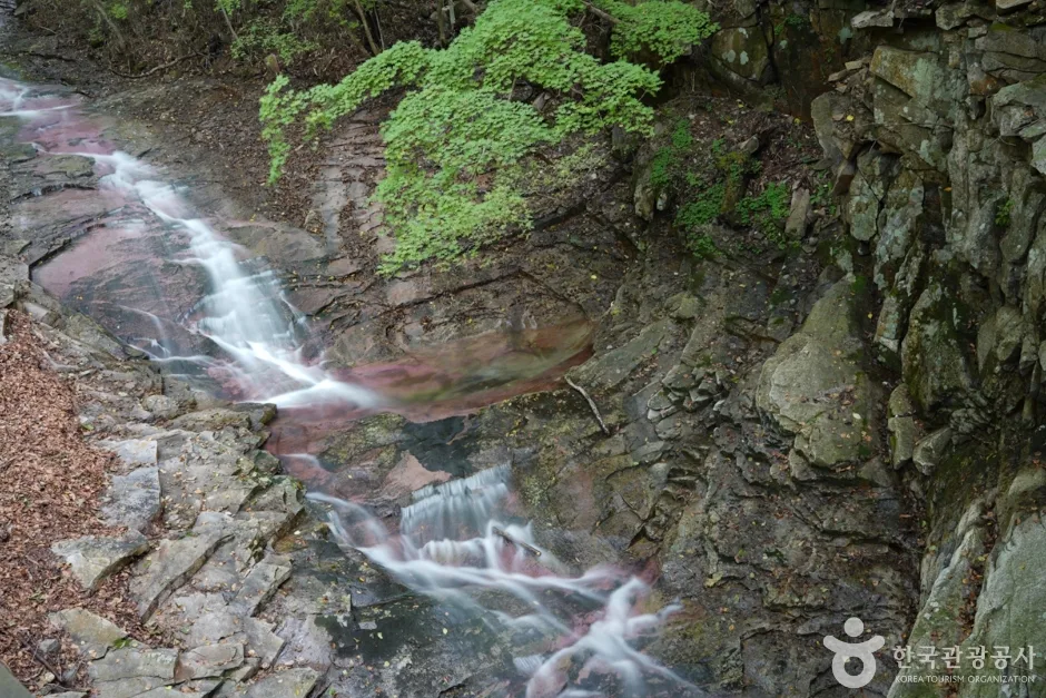 경북_청도_국립 운문산자연휴양림 (14)