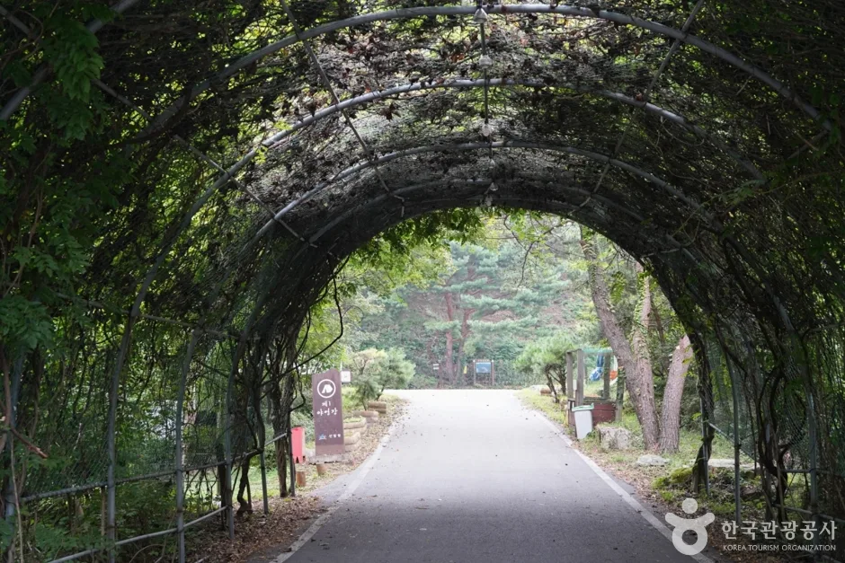 경북_청도_국립 운문산자연휴양림 (5)