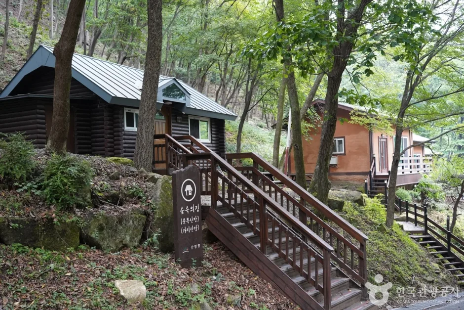 경북_청도_국립 운문산자연휴양림 (9)