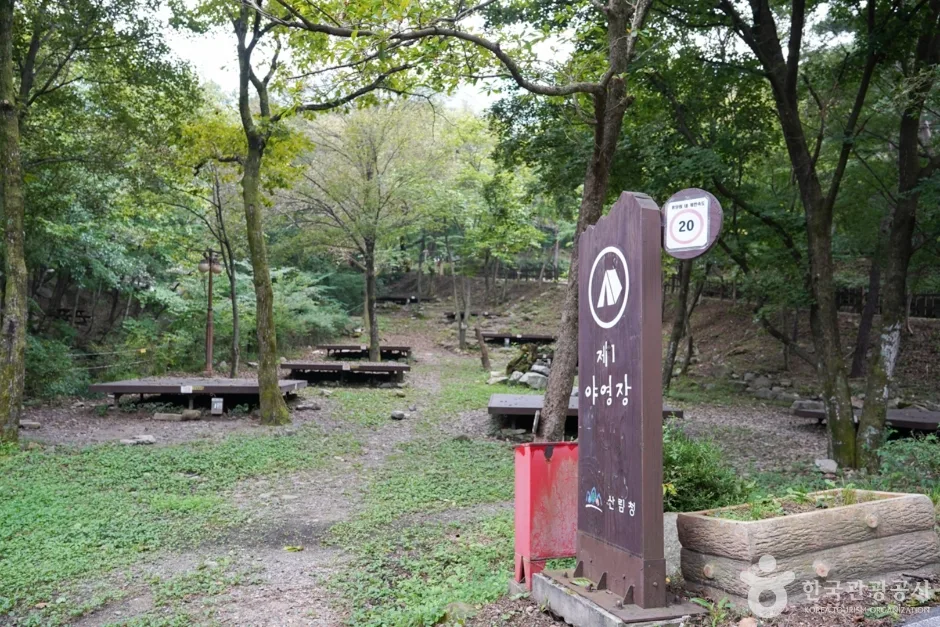경북_청도_국립 운문산자연휴양림 (6)
