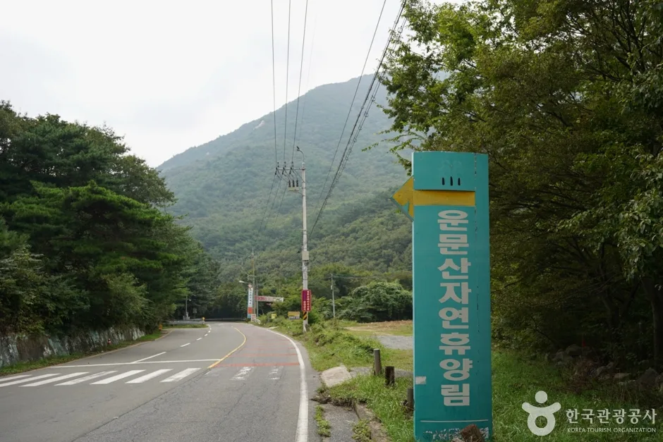 경북_청도_국립 운문산자연휴양림 (3)