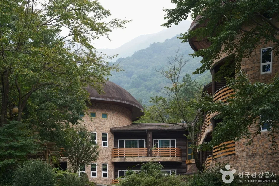경북_청도_국립 운문산자연휴양림 (7)
