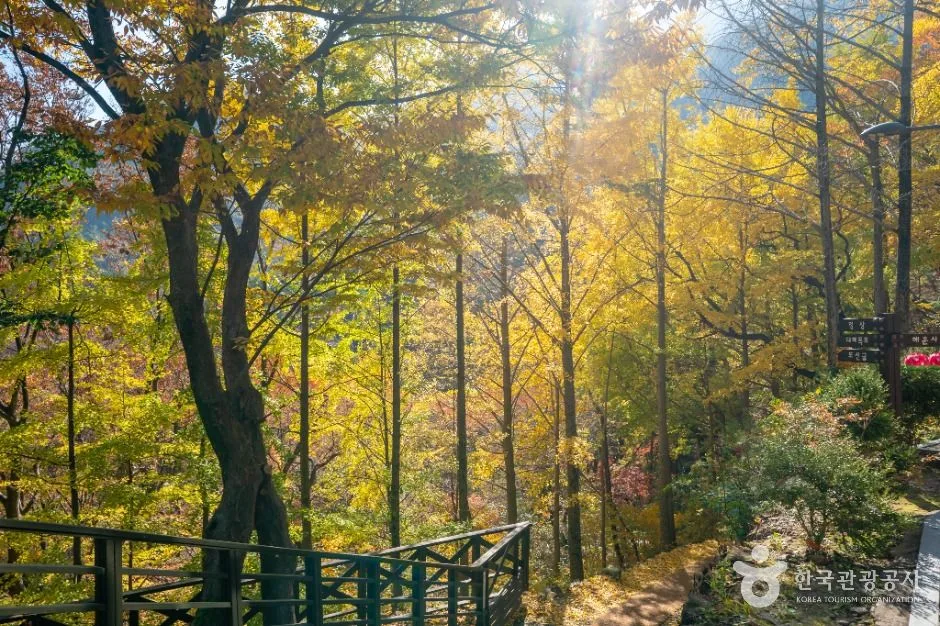 구미_금오산도립공원 (3)