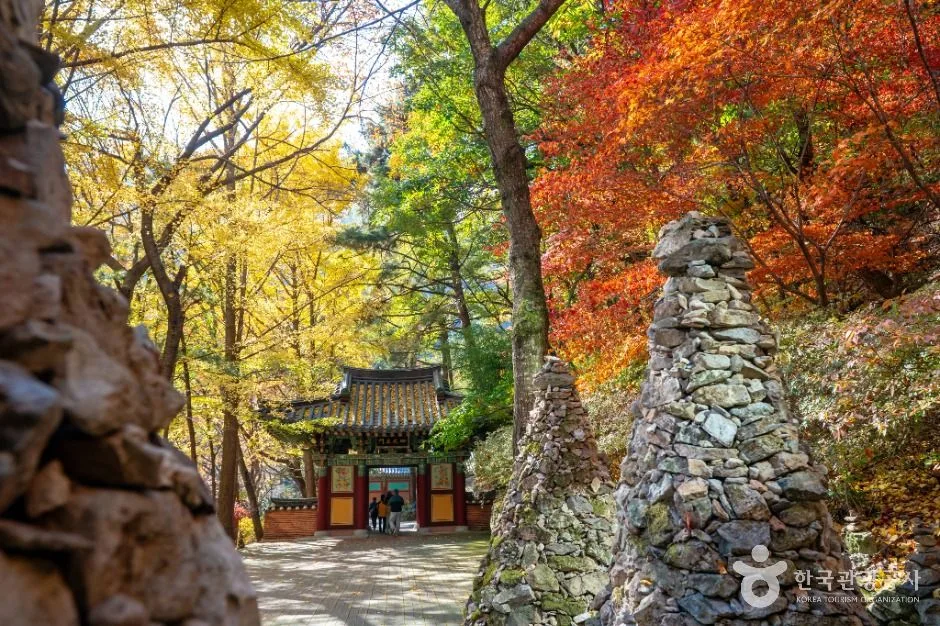 구미_금오산도립공원 (4)