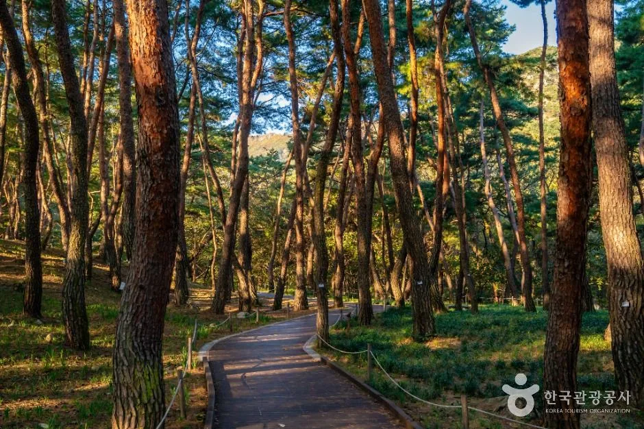 구미_금오산도립공원 (6)