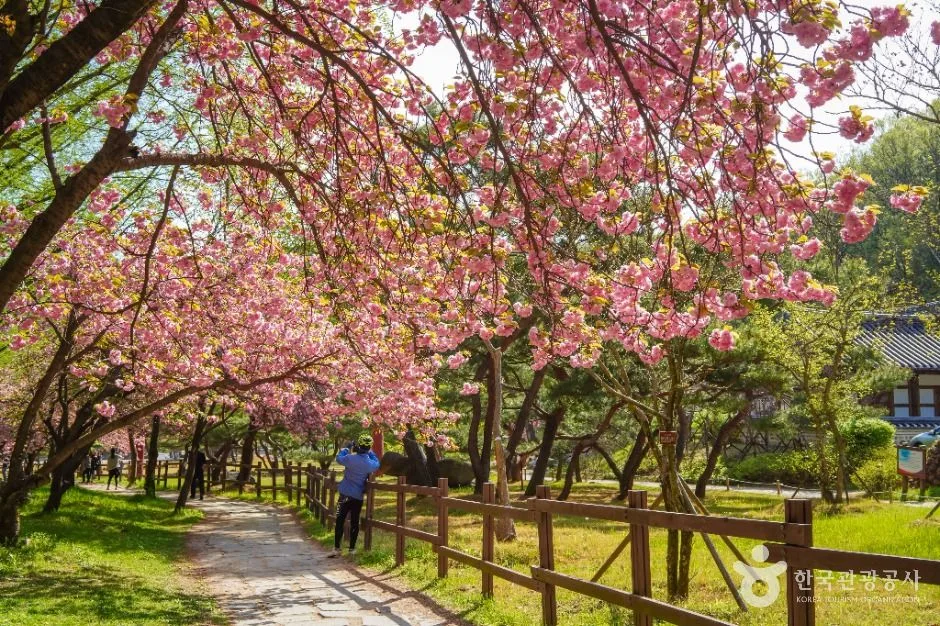 금오산도립공원