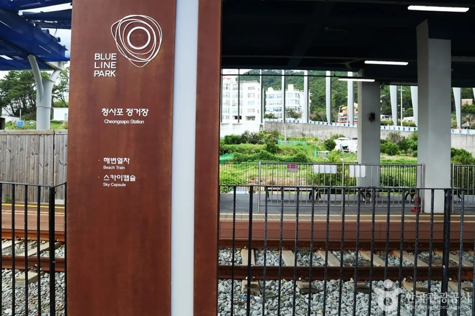 청사포기찻길 (14)