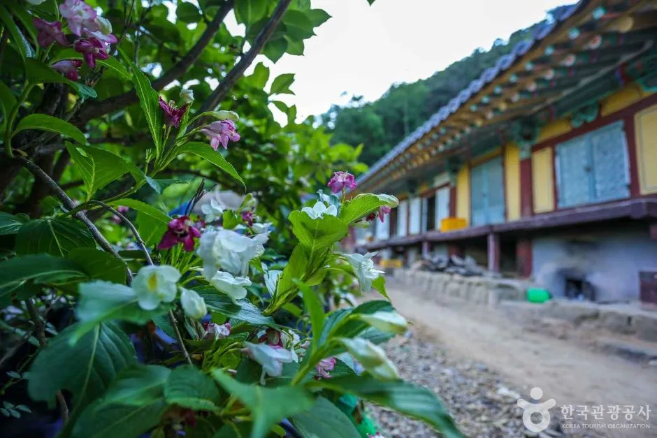 대구군위_압곡사(군위) (5)