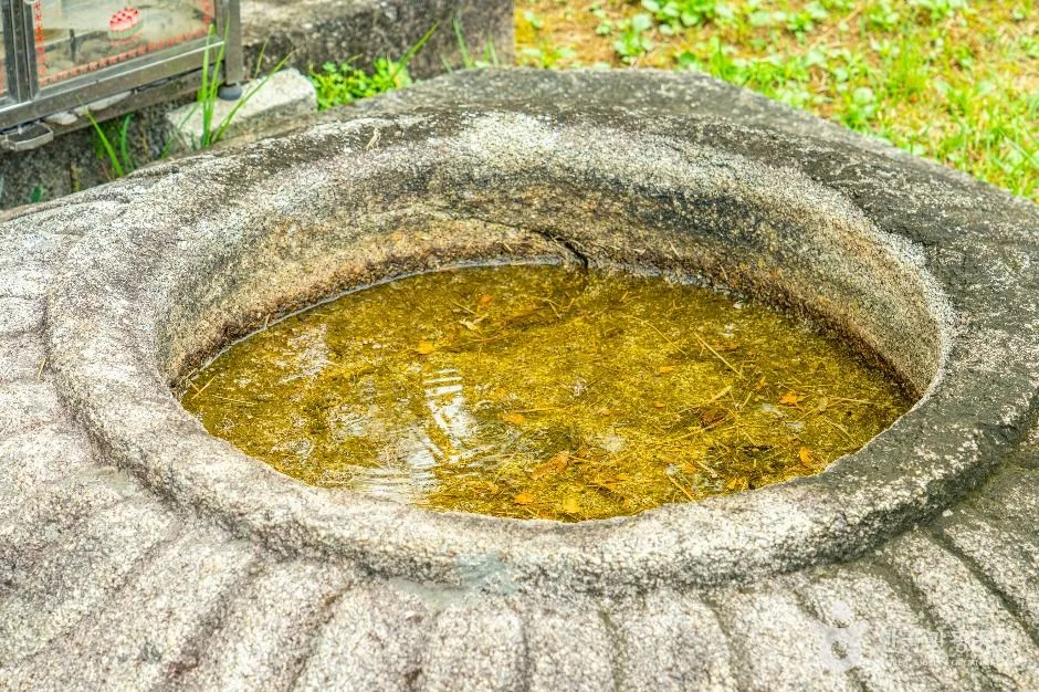 안성_안성죽산리석불입상 (6)