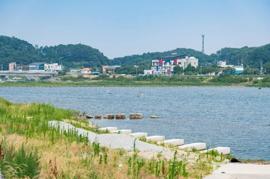 양양_남대천 (3)