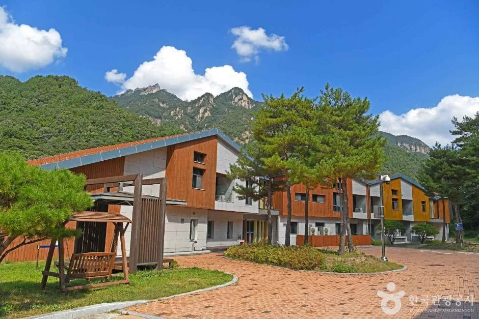 설악산 생태탐방원 (3)
