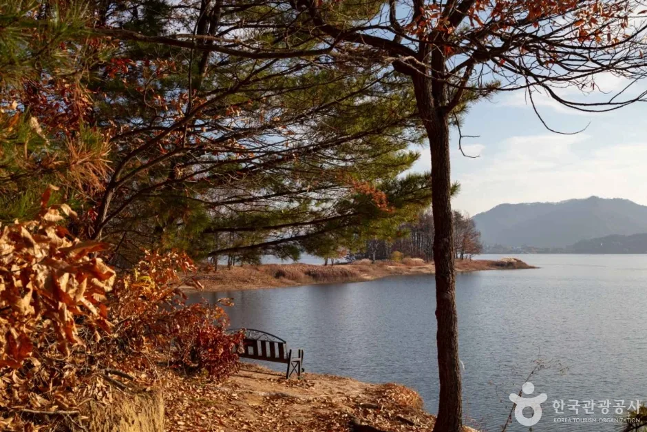 대청호 (9)