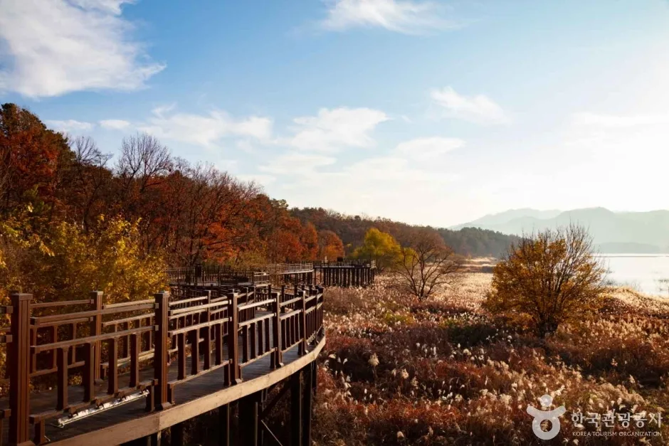 대청호 (15)