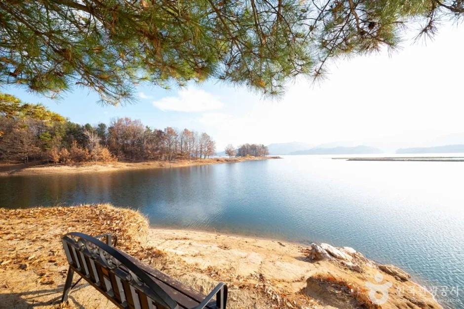 대청호 (8)