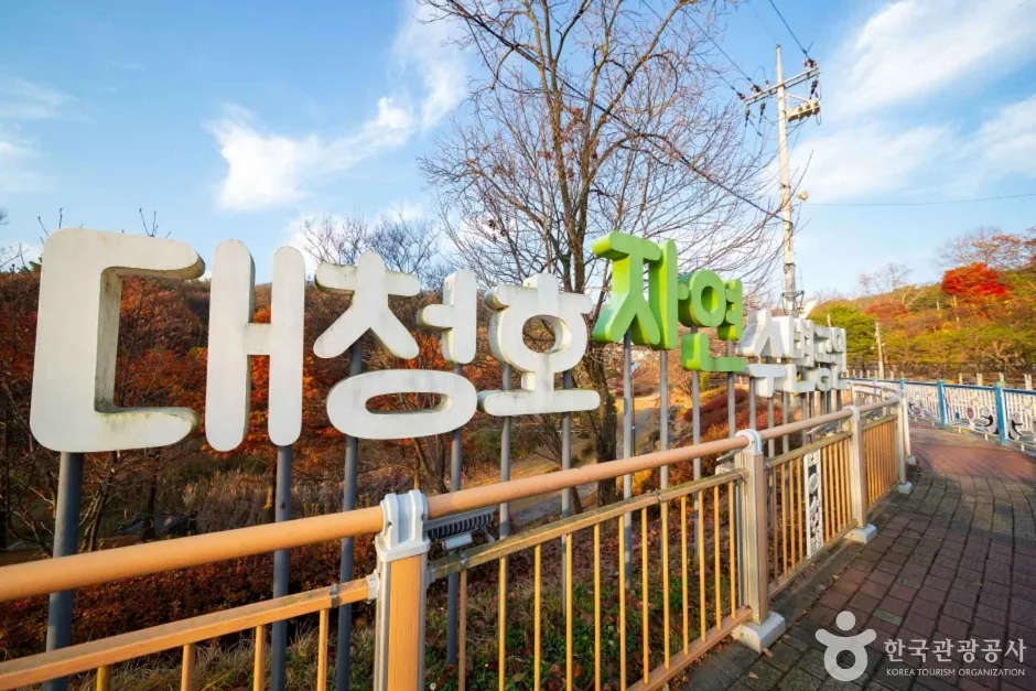 대청호 (6)