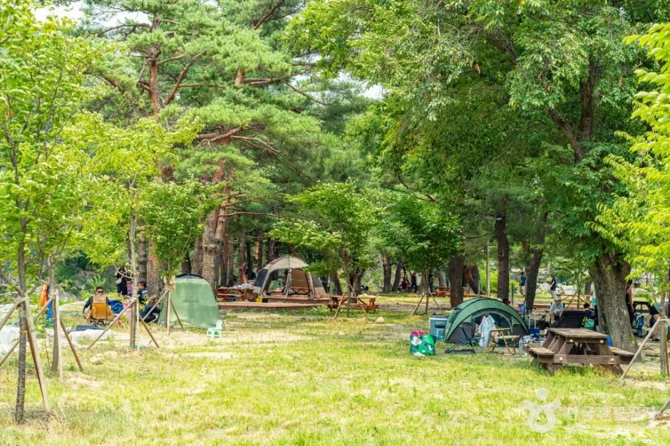 강원고성_장신유원지 (7)