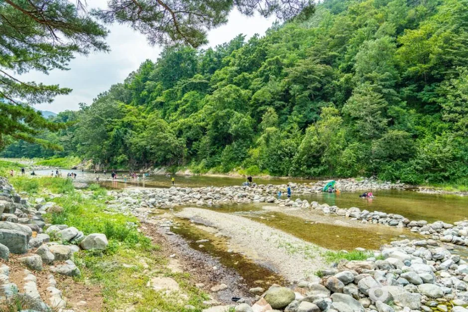 강원고성_장신유원지 (4)